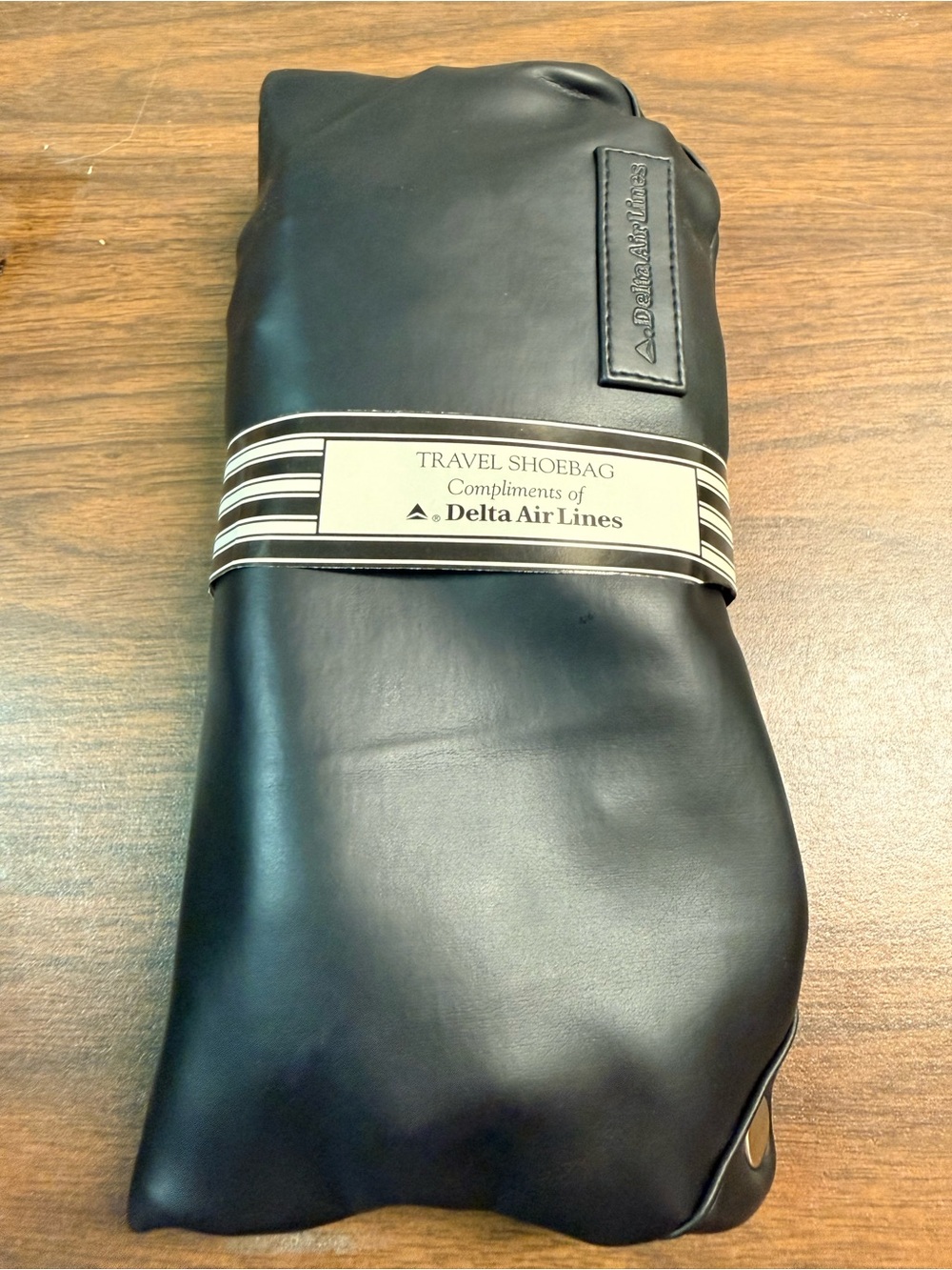 Delta Black Men's Travel Shoebag